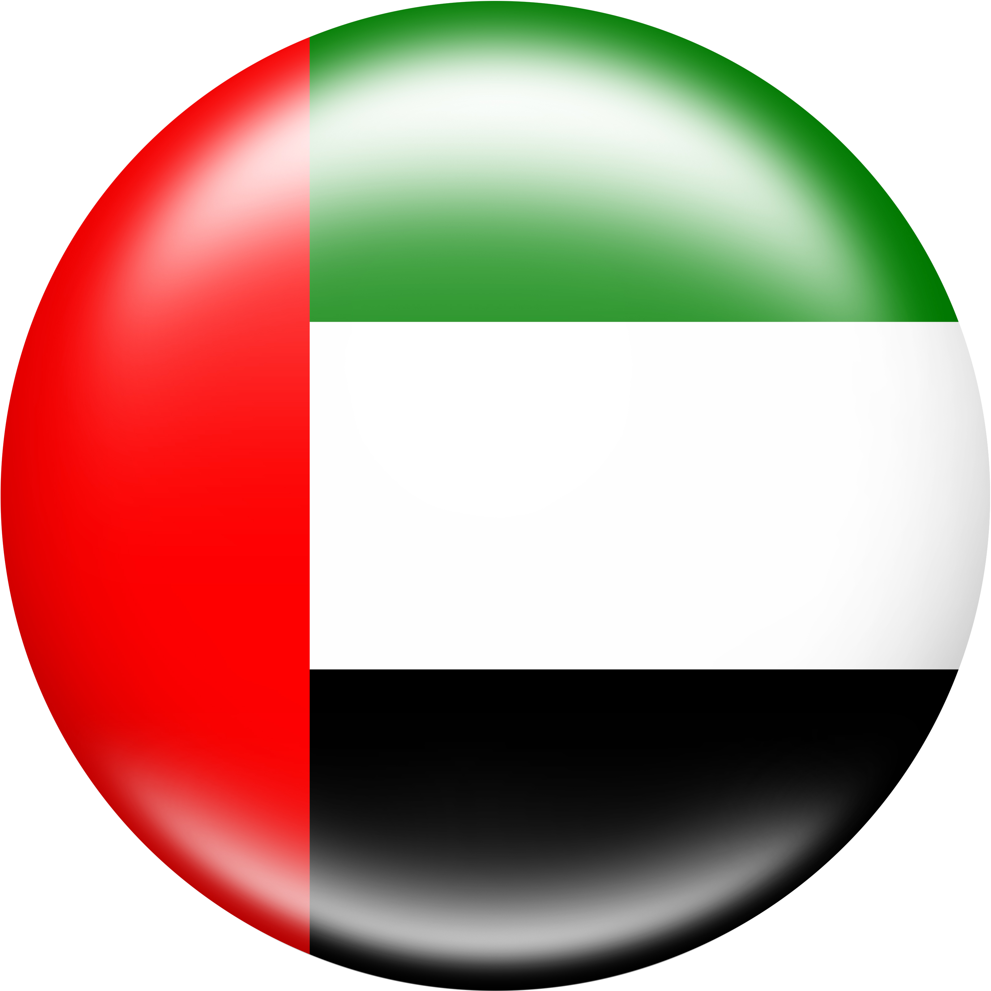 UAE Flag