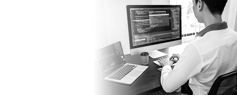 Custom Software Development