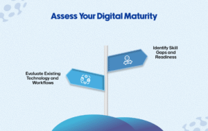 Digital Maturity