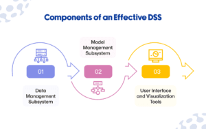 Components of an Effective DSS