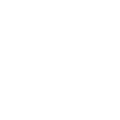 Reports & Analytics